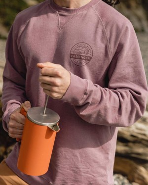 Bluza Passenger Odyssey Recycled Bawełniane Męskie Grape | Polska-WRHOAP916