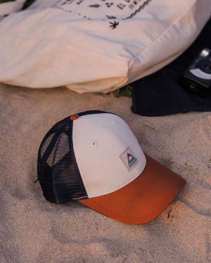 Czapka Passenger Harbour Mesh Low Profile Snapback Męskie Glazed Ginger Tricolour | Polska-HCXVIW756