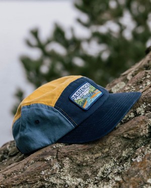 Czapka Passenger Love The Wild Recycled Bawełniane 5 Panel Damskie Multi | Polska-YUKOJF367
