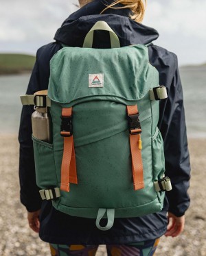 Plecak Passenger Boondocker Recycled 26L Damskie Jasny | Polska-CAOIWY732