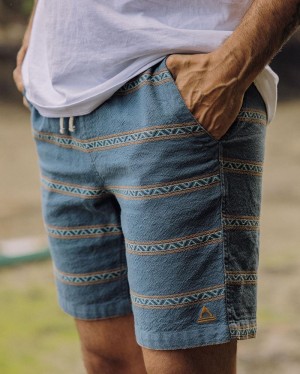 Spodenki Passenger Drifter Organic Bawełniane Jacquard Męskie Paski | Polska-IUCRMO435