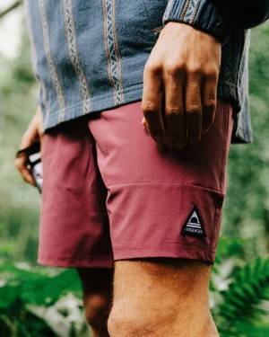 Spodenki Passenger Porto Recycled All Purpose Swim Męskie Crushed Berry | Polska-QREVZJ463