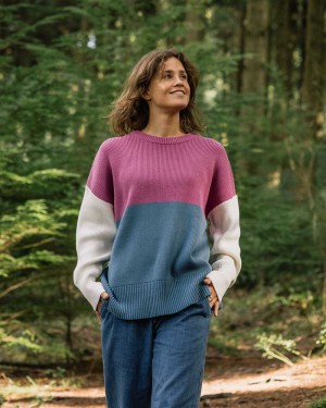 Zworki Passenger Gondwana Oversized Trykotowy Damskie Niebieskie | Polska-LGBMRS183