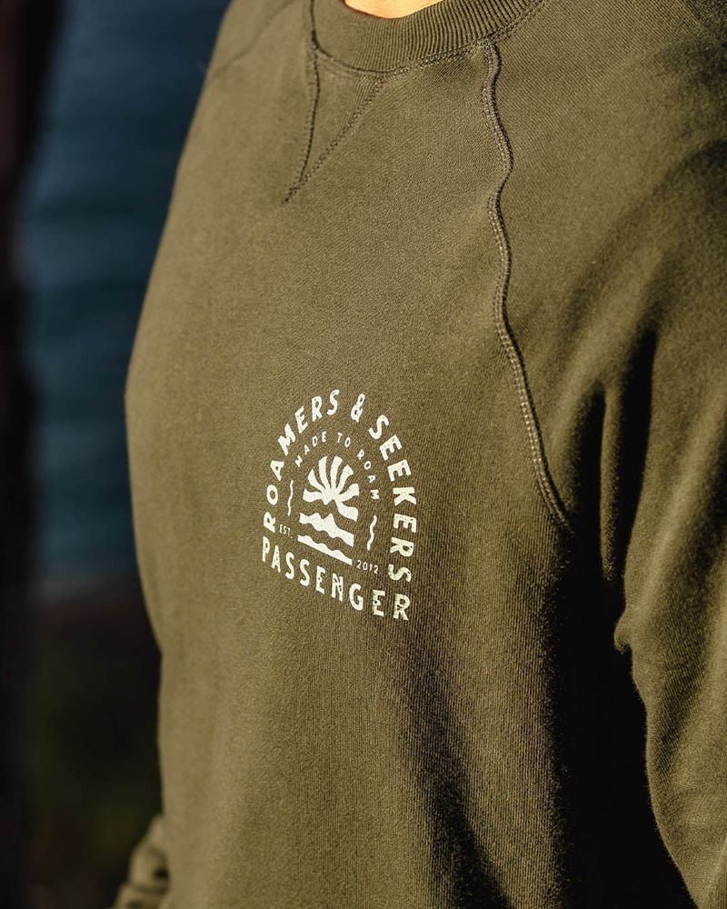 Bluza Passenger Evenfall Recycled Bawełniane Męskie Zielone | Polska-LFZBVN049