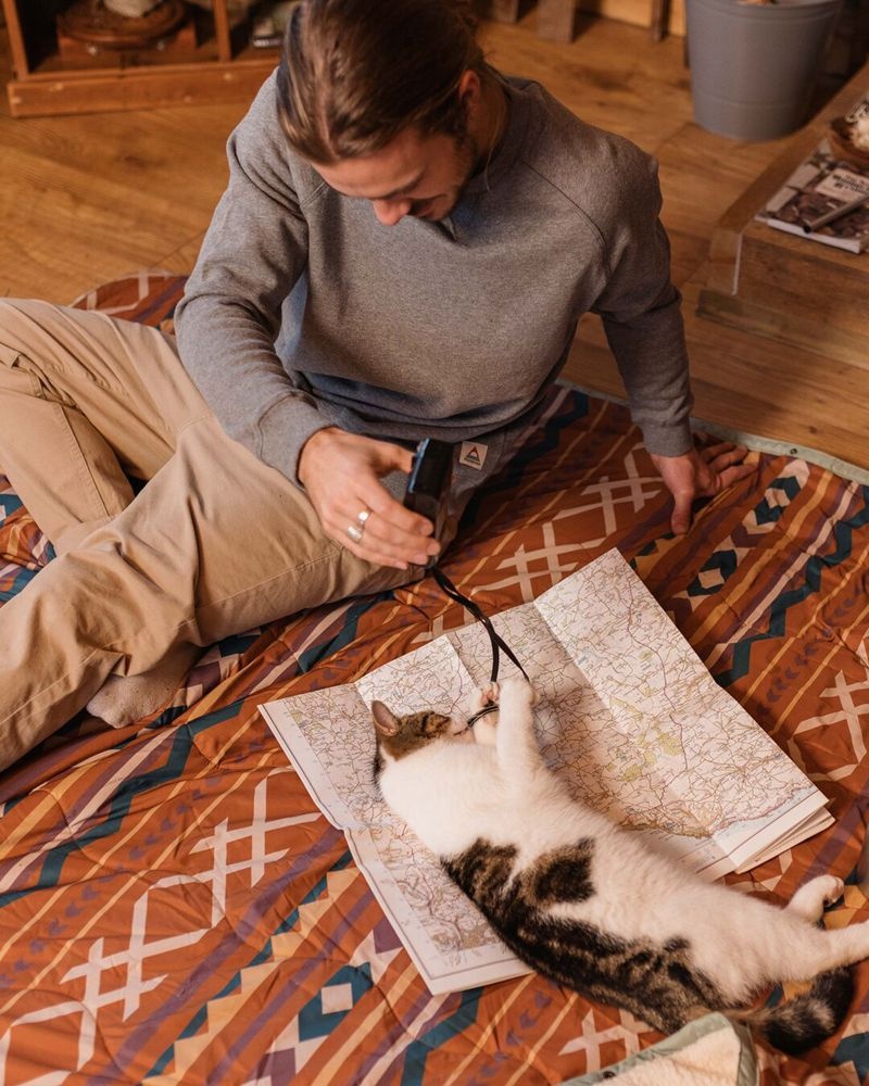 Bluza Passenger Heritage Recycled Bawełniane Męskie Szare | Polska-PMTSIF502