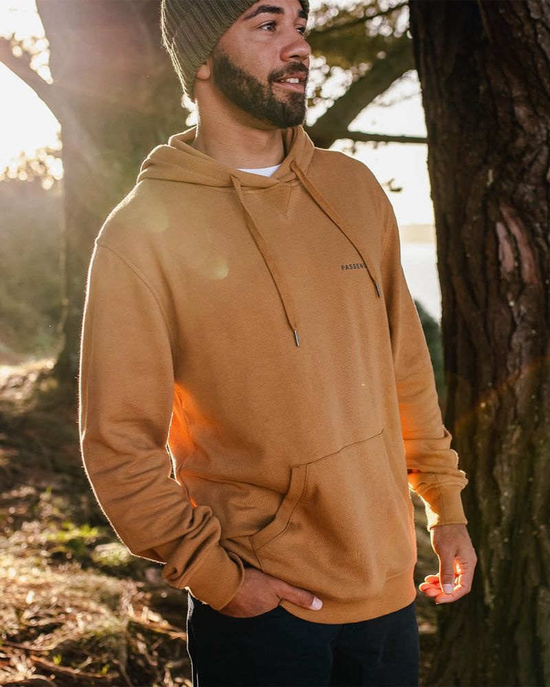 Bluza z Kapturem Passenger Made To Roam Recycled Męskie Brązowe | Polska-NBOEJD538
