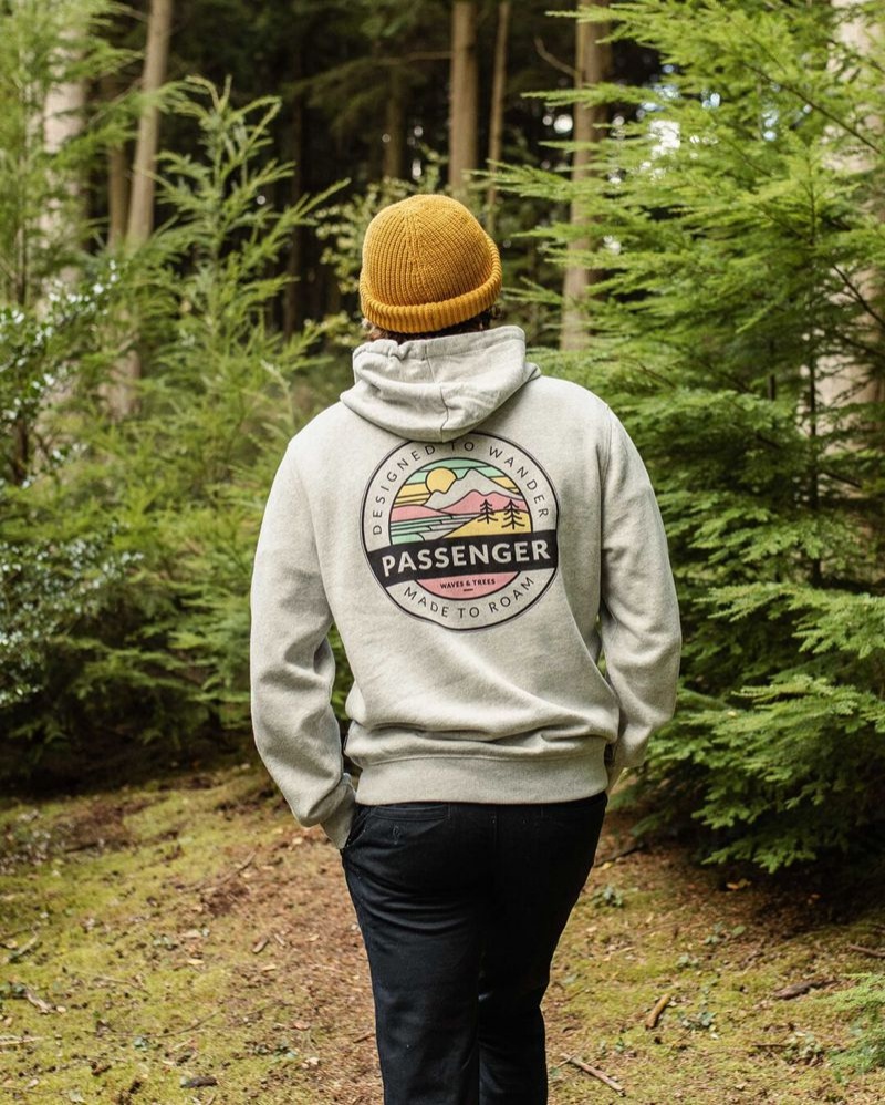 Bluza z Kapturem Passenger Odyssey Recycled Bawełniane Męskie Szare | Polska-HKBAQT285