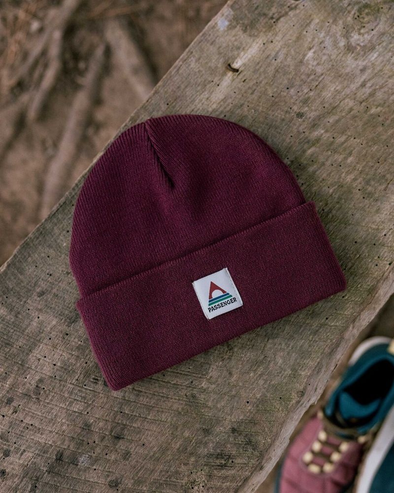 Czapka Passenger Core Recycled Low-Top Damskie Wine | Polska-PAOXBI387