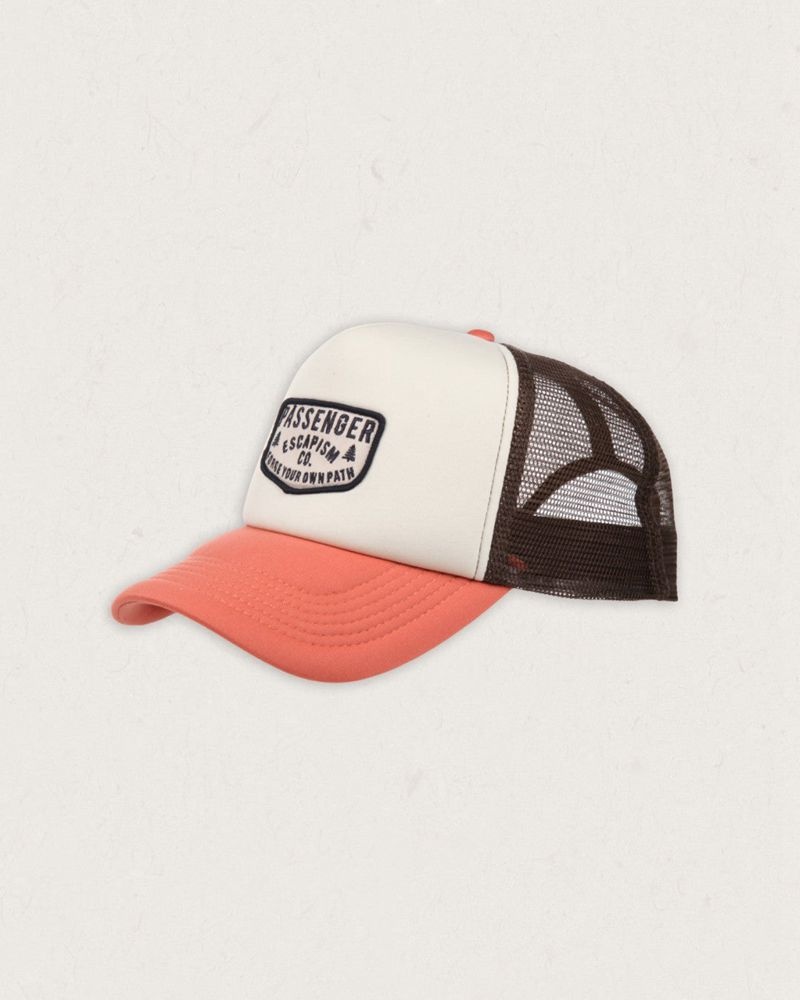 Czapka Passenger Forge Snapback Trucker Damskie Bruschetta Tricolour | Polska-DPKUAI783