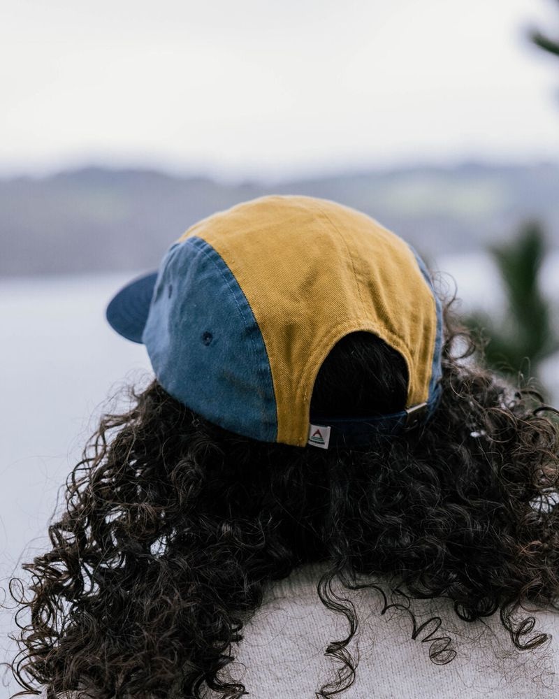 Czapka Passenger Love The Wild Recycled Bawełniane 5 Panel Męskie Multi | Polska-LXDEQO971