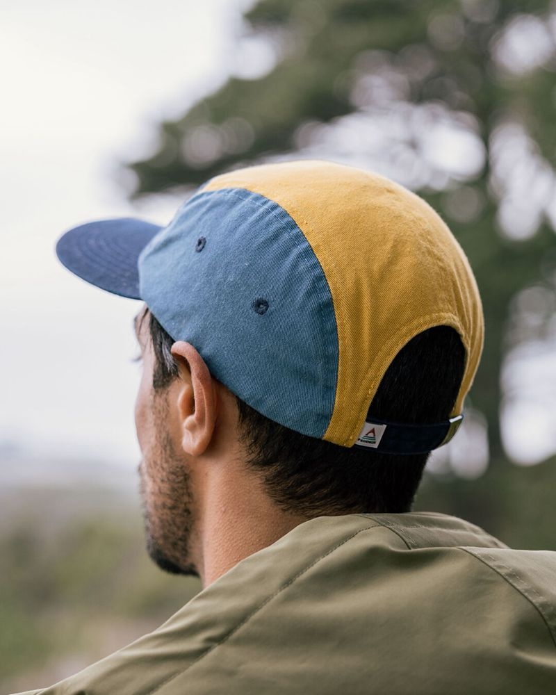 Czapka Passenger Love The Wild Recycled Bawełniane 5 Panel Męskie Multi | Polska-LXDEQO971