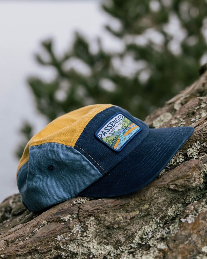 Czapka Passenger Love The Wild Recycled Bawełniane 5 Panel Męskie Multi | Polska-LXDEQO971