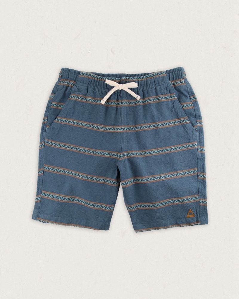 Spodenki Passenger Drifter Organic Bawełniane Jacquard Męskie Paski | Polska-IUCRMO435